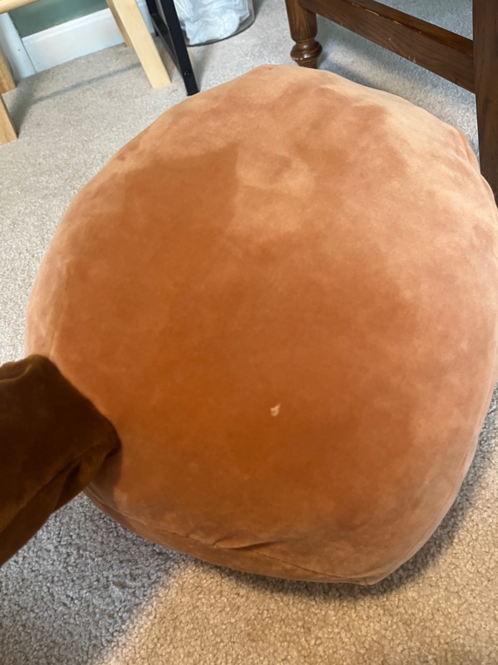 squishmallows - Picture 4 of 7